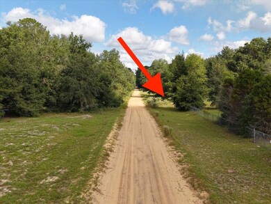 206 N Helmers Ave, Interlachen, FL 32148 - photo 3