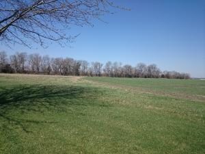 2625Letaville (19)