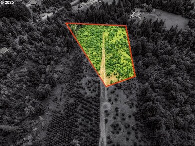 0 NE 277th Ave, Camas, WA 98607 - photo 5