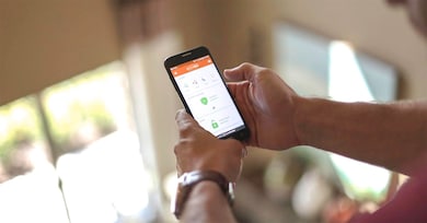 16743 Frosted Evergreen Ct, Magnolia, TX 77355 - photo 4