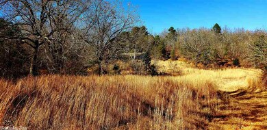 0 Webb Hill unit 21004456, McRae, AR 72102 - photo 2