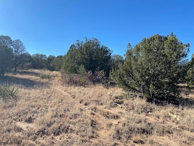 0 Bryant Rd, Edgewood, NM 87015 - photo 4