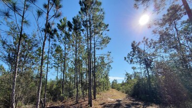 0 County Line Rd unit 19604811, Lee, FL 32059 - photo 3