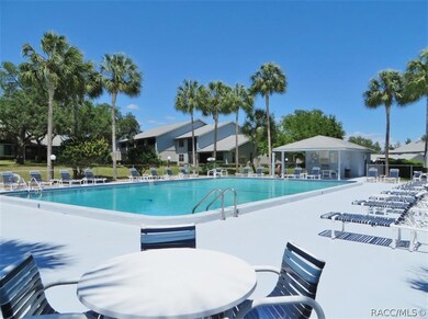 771 E Hartford St, Hernando, FL 34442 - photo 4