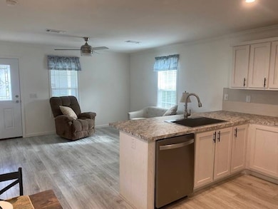 239 E Buffalo Bluff Rd unit 217, Satsuma, FL 32189 - photo 5