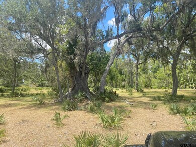 18048 Cr 463, Brazoria, TX 77422 - photo 6