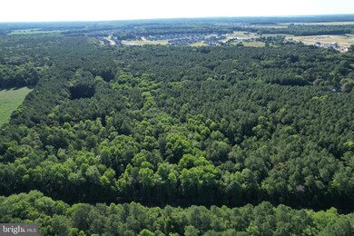 0 Hollyville Rd unit DESU2065420, Harbeson, DE 19951 - photo 7