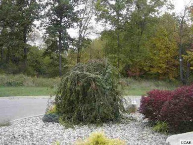 1007 Saw Mill Ct, Adrian, MI 49221 - photo 3