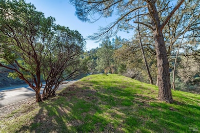 1155 Steele Canyon Rd, Napa, CA 94558 - photo 5