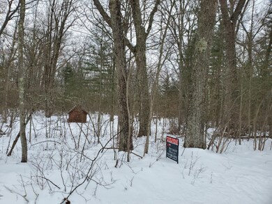 0 Vl 12 Mile Rd, Bitely, MI 49309 - photo 3