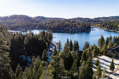 0 0 S459-C Dock unit HD25244848, Lake Arrowhead, CA 92395 - photo 6