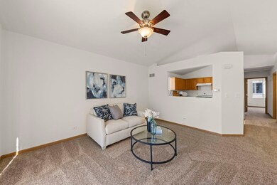 897 Symphony Dr unit 7123, Aurora, IL 60504 - photo 6