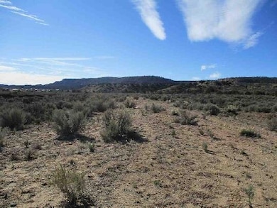 0 Cubita - Cuba Mesa Rd unit 1044806, Cuba, NM 87013 - photo 5