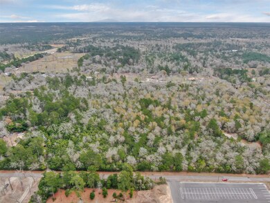 14761 Edwards Rd, Montgomery, TX 77316 - photo 6