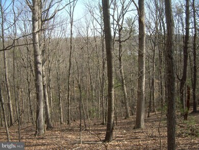 0 Sarah Ln unit 1003456286, Basye, VA 22810 - photo 4