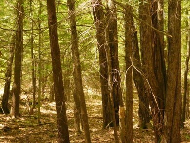 0 Pierce Ln unit 59, Westmoreland, NH 03467 - photo 5