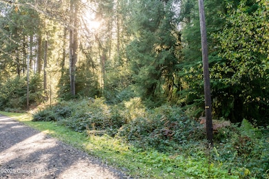 Katherine-11-Walsh-River_Bend_Lot-004-Br