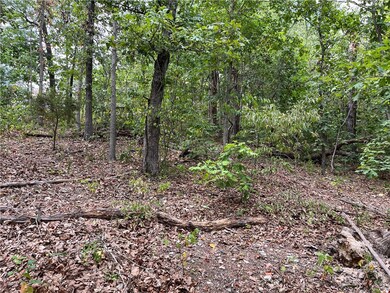 14 Oniell Ln unit 1228005, Bella Vista, AR 72715 - photo 5