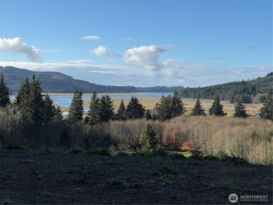 92 Dionne Ln, Naselle, WA 98638 - photo 3