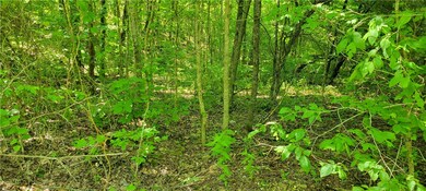 0 Winn Creek Rd, West Fork, AR 72774 - photo 6