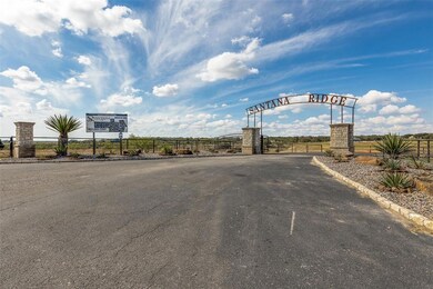 521 Hondo Crossing, Weatherford, TX 76087 - photo 4