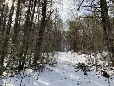 0 Jerusalem Rd unit 4990793, Canaan, NH 03741 - photo 2