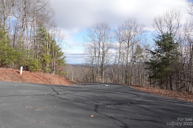 79 Longview Trail, Bostic, NC 28018 - photo 5