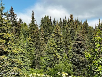 0AB910B9-E3C9-4EC3-AE3D-B5FFD98CF4A9