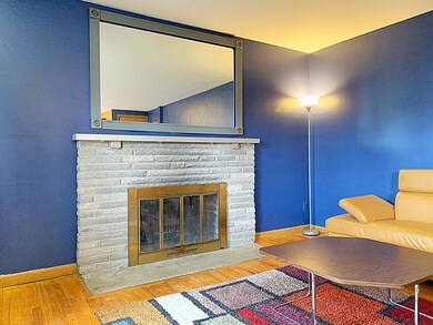 Wood Burning Fireplace