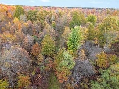 20 Rd, Cortland, OH 44410 - photo 7