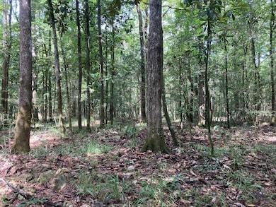 0 McPhaul Rd, Crawfordville, FL 32327 - photo 3