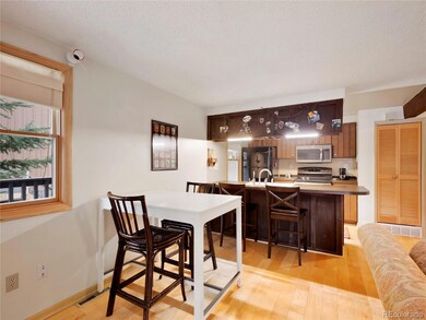 1461 Main St, Georgetown, CO 80444 - photo 6