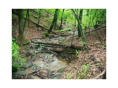 FULL TIME STREAM WITH GLISTENING CLEAR WATER POOLS