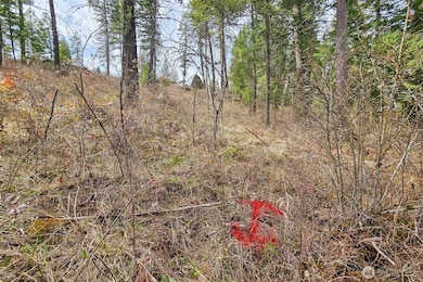 4700 E Deer Park Milan Rd, Chattaroy, WA 99003 - photo 3