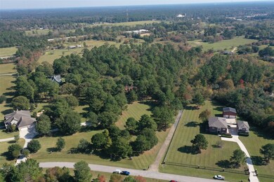 30123 Post Oak Run, Magnolia, TX 77355 - photo 6