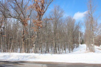 6761 E 104th St, Newaygo, MI 49337 - photo 3