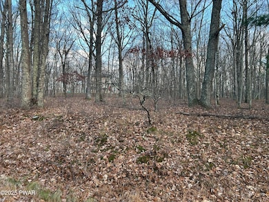 Lot 9 Tamarack Dr, Lackawaxen Township, PA 18428 - photo 3