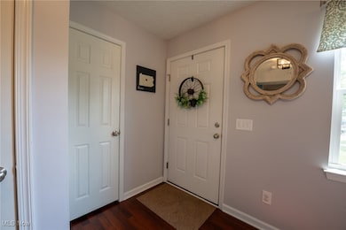 Entrance foyer featuring a textured ceiling, dark wood-type flooring, and plenty of natural light
