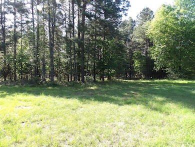 191 Fm 587, Kennard, TX 75847 - photo 6