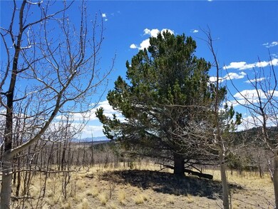 132 Grebe Ln, Como, CO 80432 - photo 5