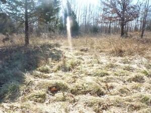 1633 Hawkins Rd, Harrison, AR 72601 - photo 2