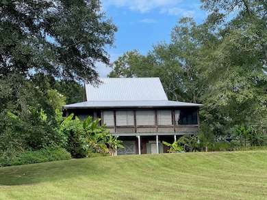 1117 Williamson Rd, Luverne, AL 36049 - photo 3