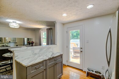 8103 Parkdale Ct, Springfield, VA 22153 - photo 6