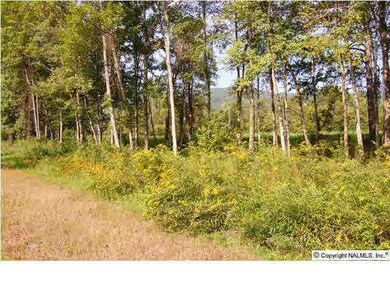 2640 White Elephant Rd, Grant, AL 35747 - photo 2