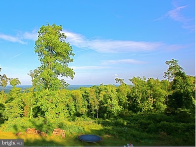 16390 Mountain Orchard Ln, Round Hill, VA 20141 - photo 3