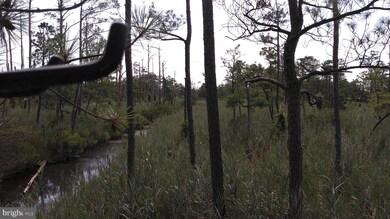 2506 Wesley Rd, Crapo, MD 21626 - photo 5