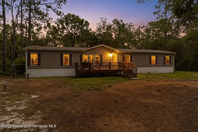 17155 Dalberg Dr, Shady Hills, FL 34610 - photo 5