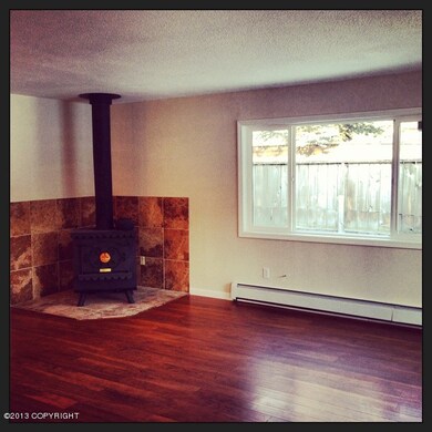 Wood Stove
