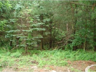 130 Floral St, Shrewsbury, MA 01545 - photo 3