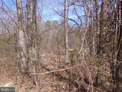 3551 Whiskey Bottom Rd, Laurel, MD 20724 - photo 5